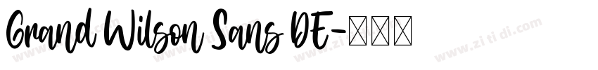 Grand Wilson Sans DE字体转换